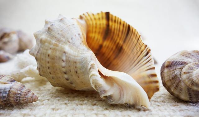 Top Beaches to Visit in Europe: Sun, Sand, and Serenity